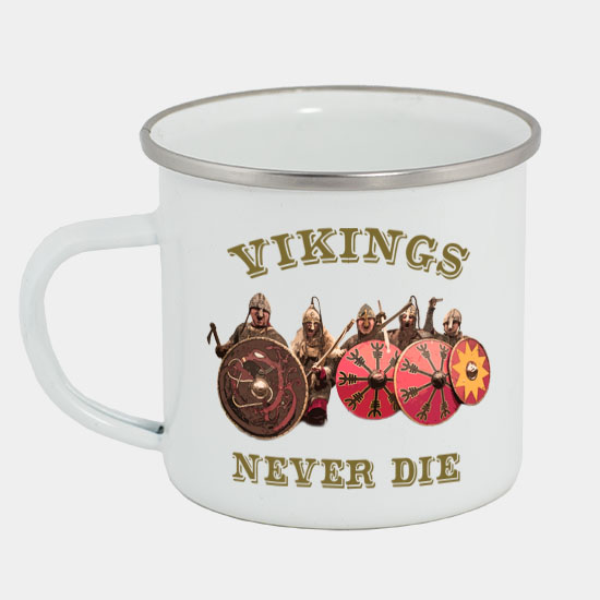 Plecháček - Vikings Never Die